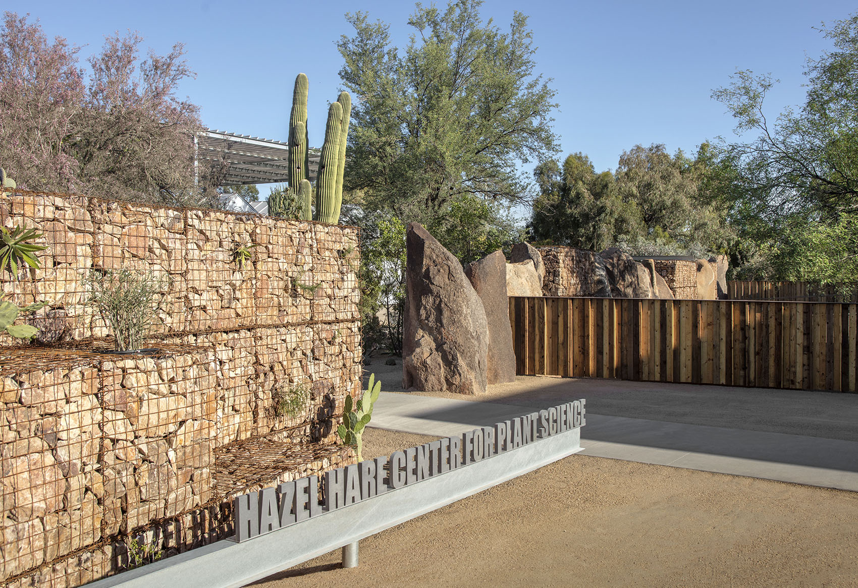 沙漠植物园一期丨美国-15