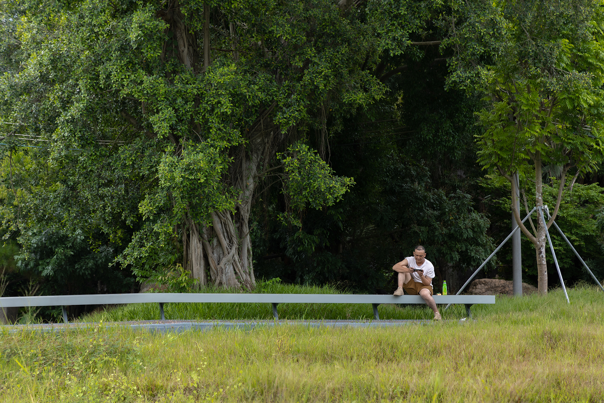 深圳光明虹桥1958生态公园丨中国深圳丨深圳自组空间,深圳市建筑科学研究院股份有限公司-47