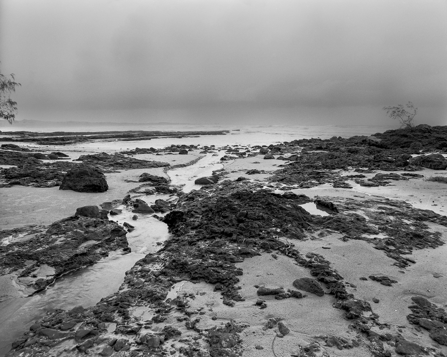 A Wet Weather Walk - Biripi Country - Fomapan 100-1