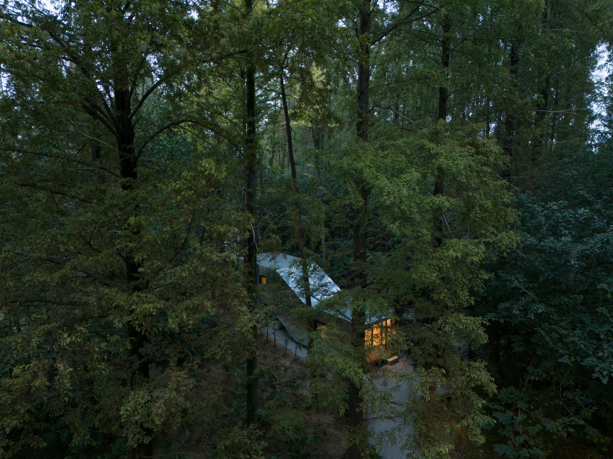 Merryda Wiki World-Secret Camp / Wiki World + Advanced Architecture Lab-43