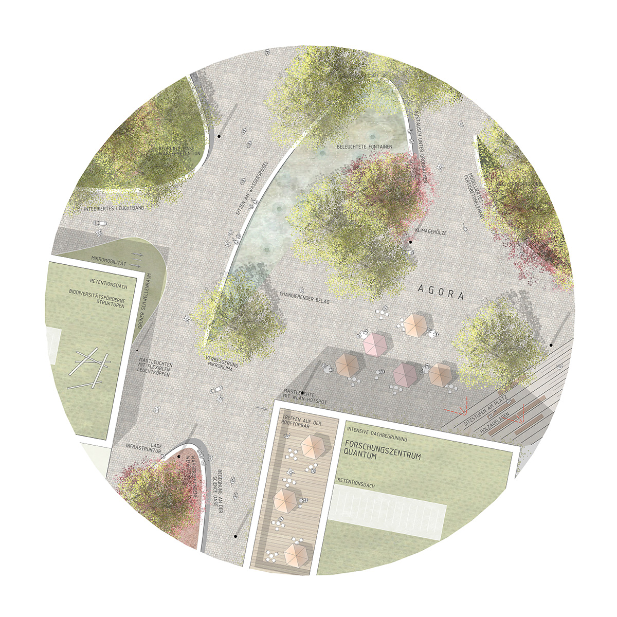 量子花园——埃宁根-18