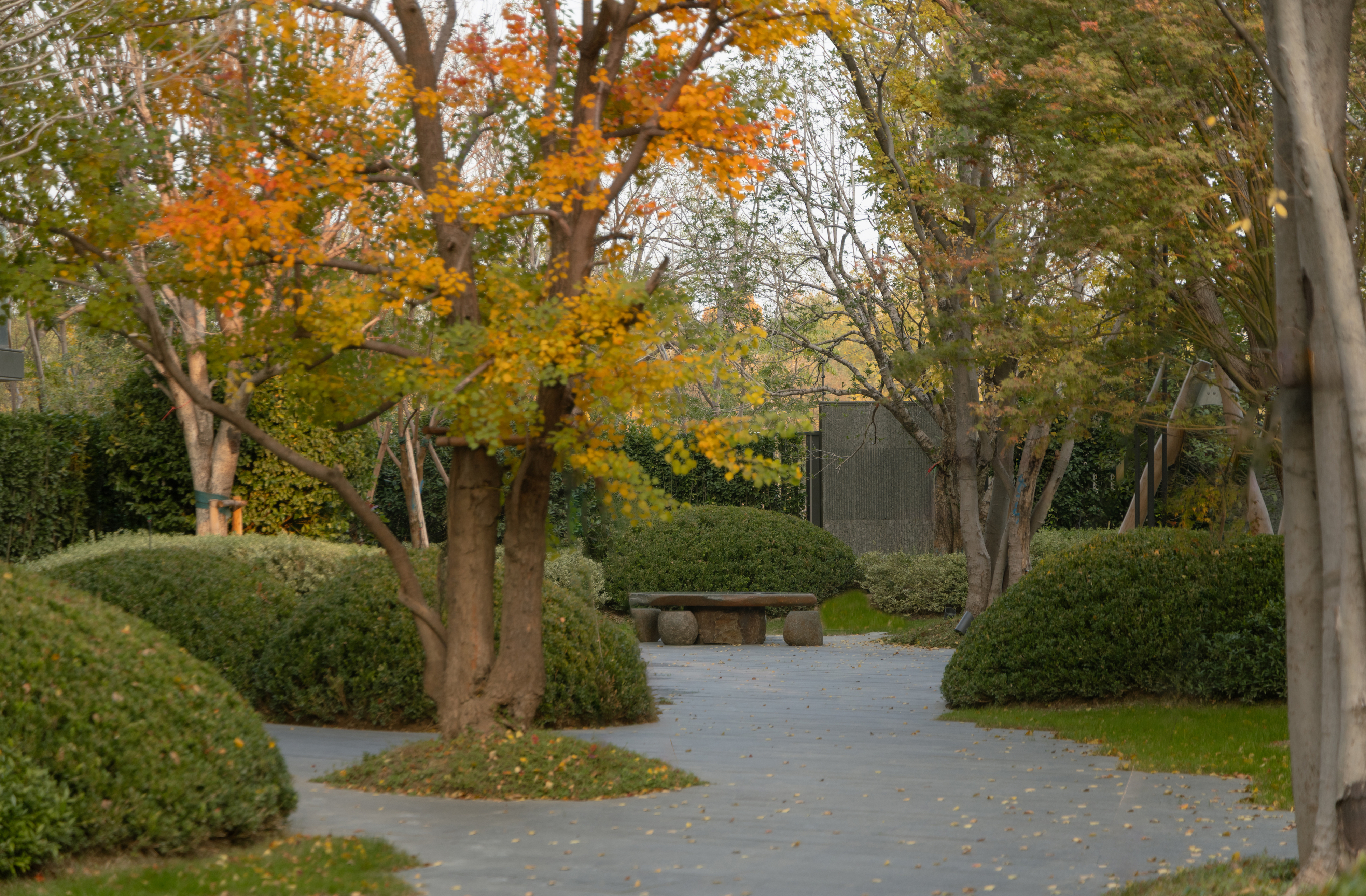 郑州万科·拾谧森语丨中国郑州丨齐物景观-25