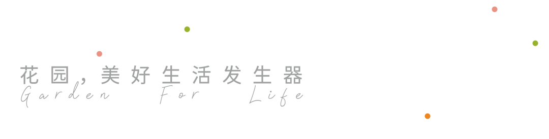闽韵鹭岛・云端植境|厦门厦航费尔蒙酒店精品花园营造-0