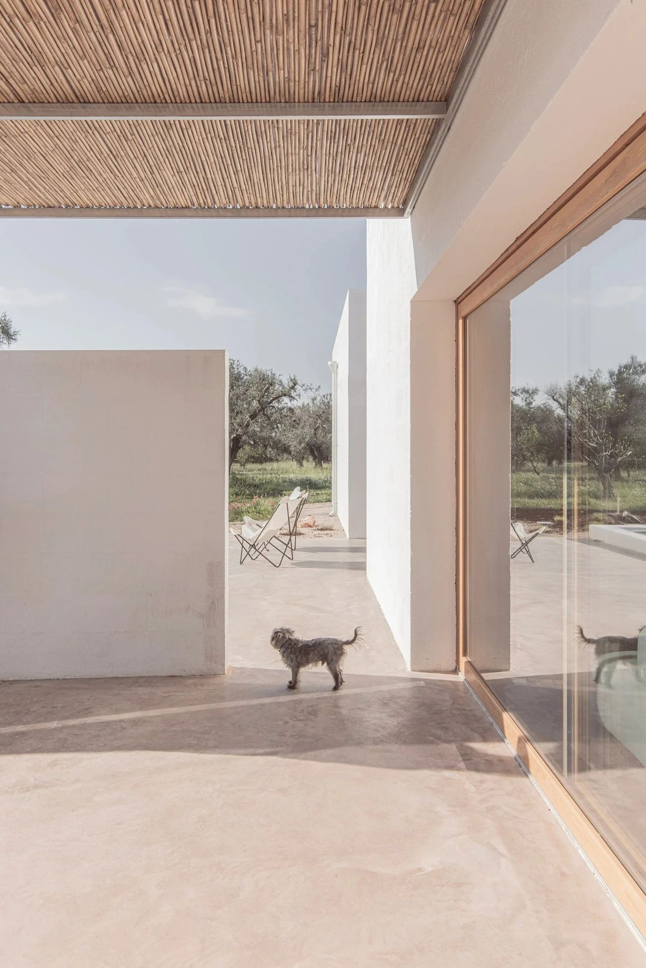 Casanguilla 设计丨意大利丨Quarzo Studio-24