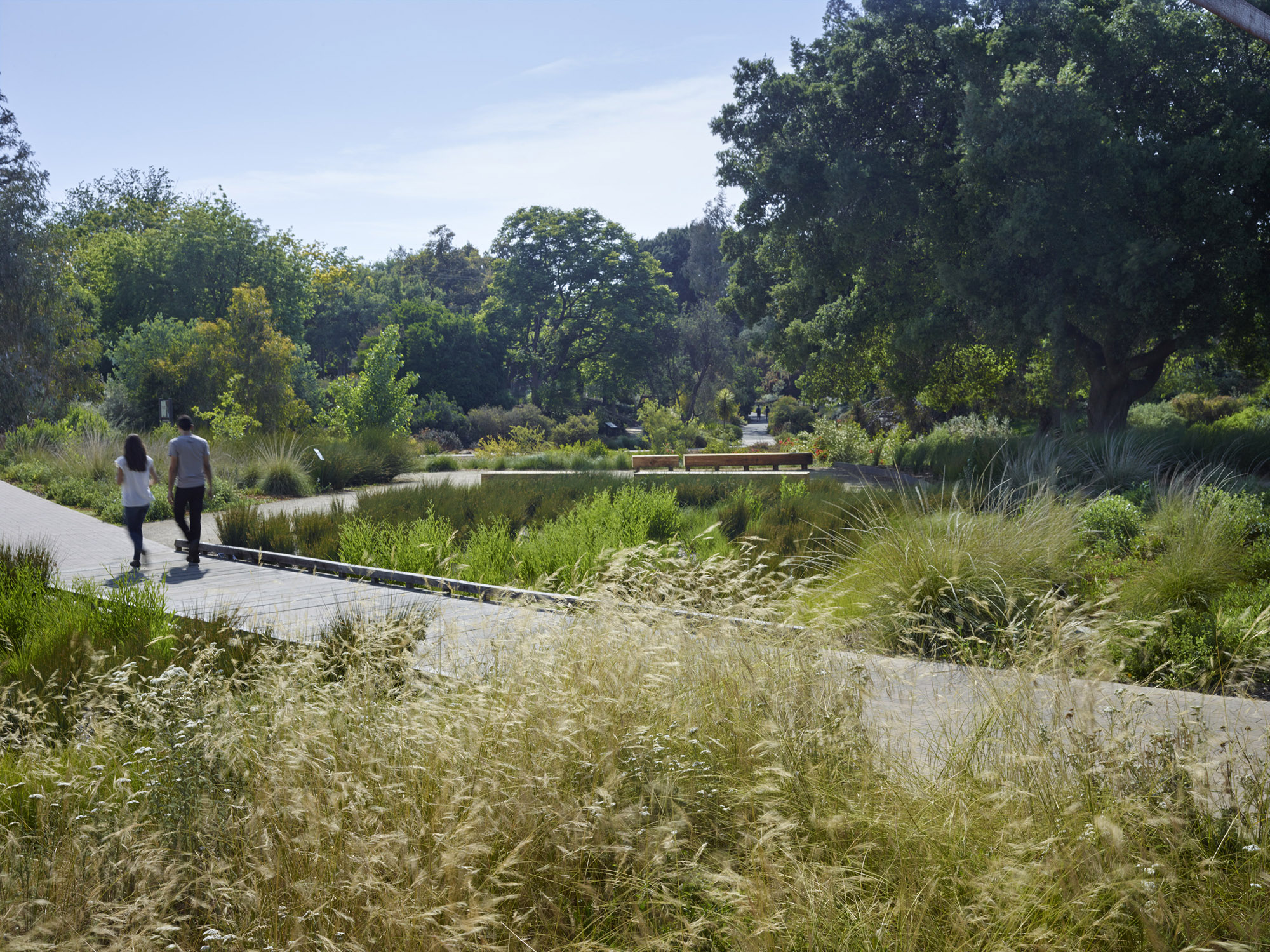 植物园大门的花园 arboretum gateway garden by Lutsko Associates Landscape-5