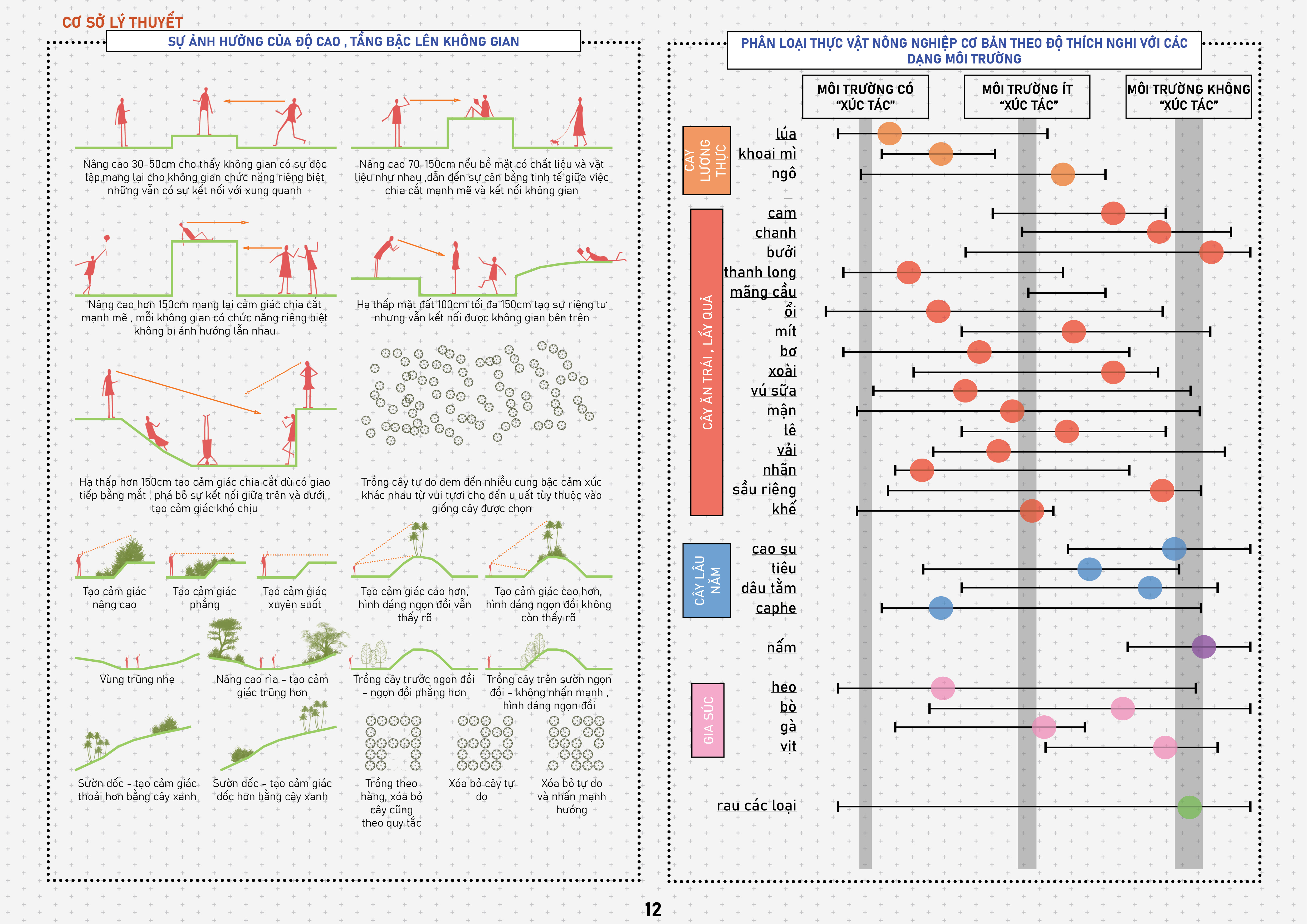 GRADUATION PROJECT - ECO -AGRICULTURAL PARK-9