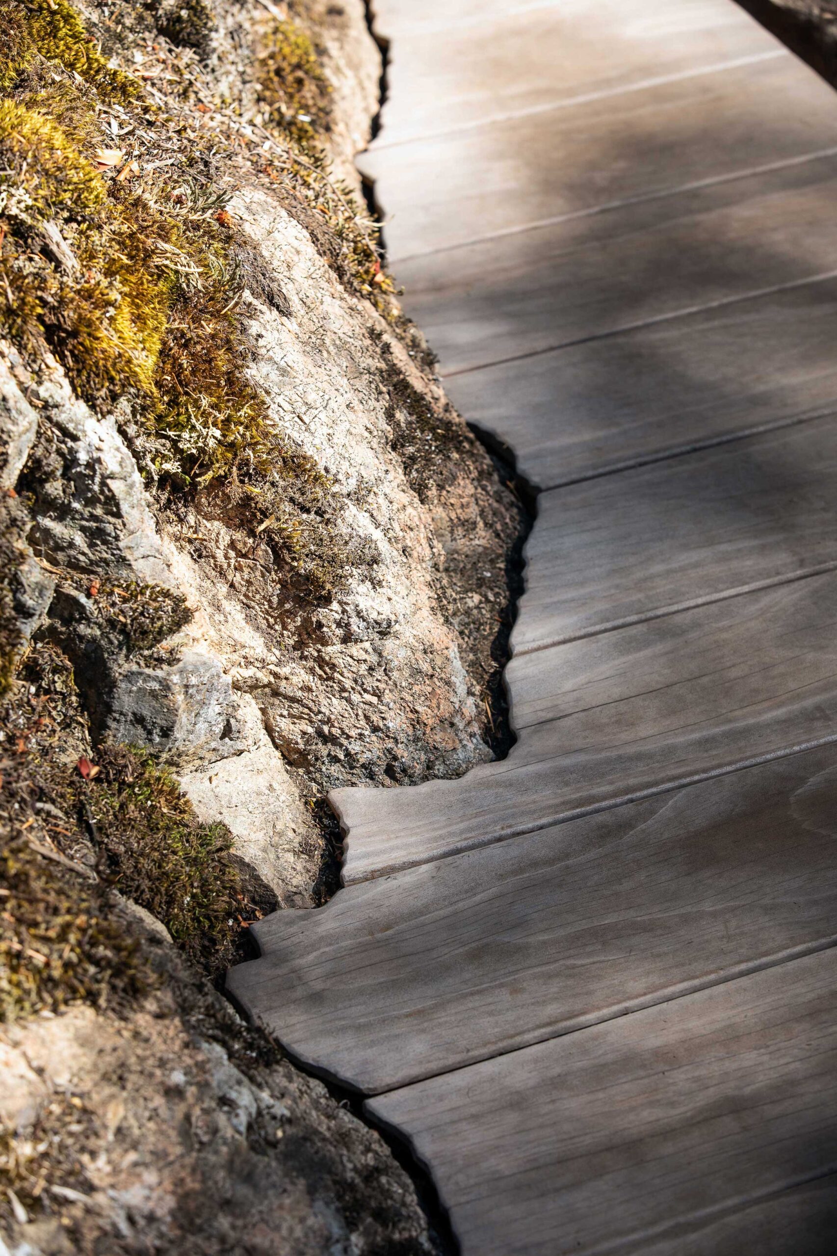 丨美国华盛顿-58