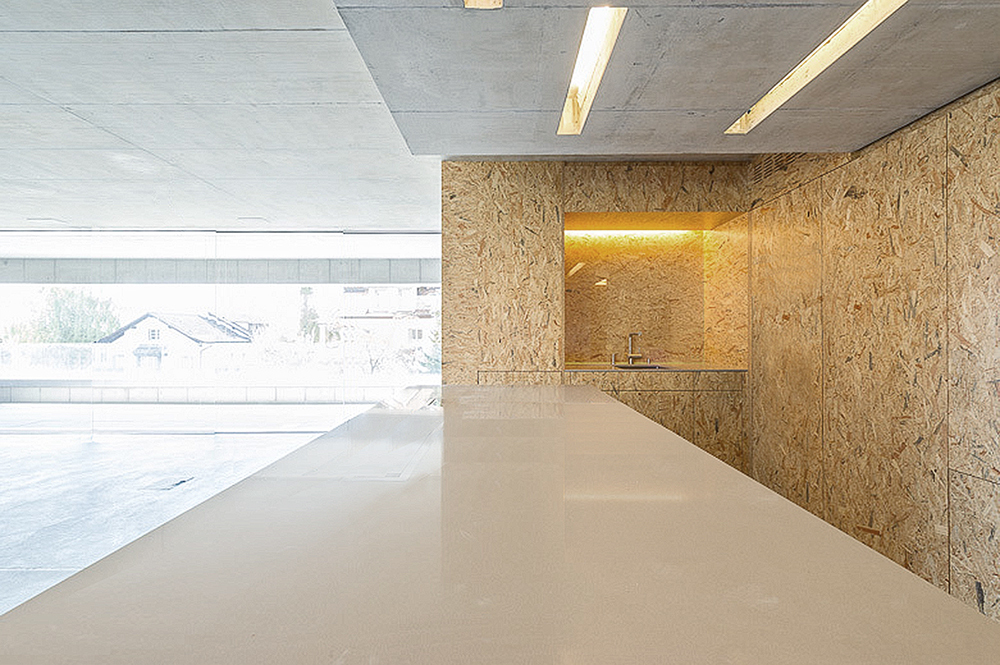 瑞士苏黎世 H 公寓楼——融入自然的自由空间-29