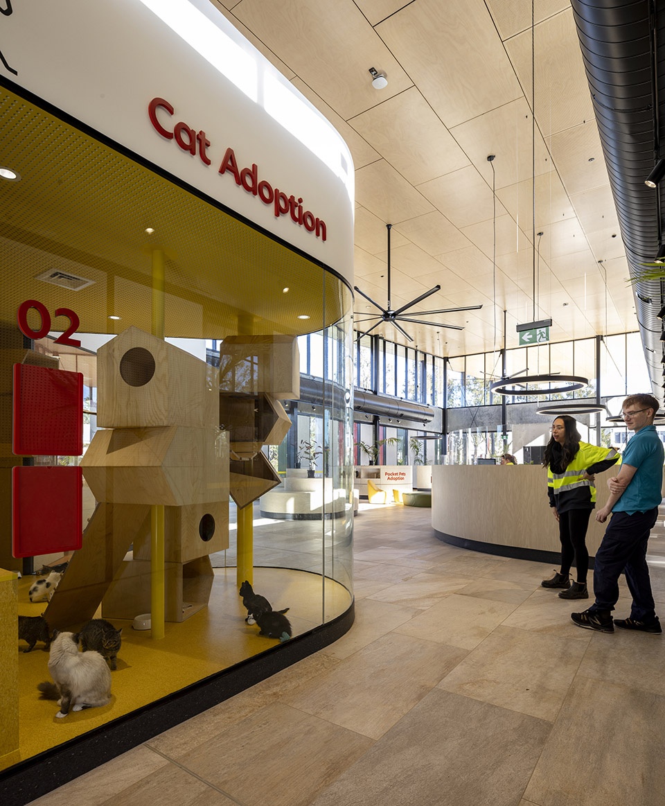 黑镇动物收容中心丨澳大利亚悉尼丨Sam Crawford Architects-42