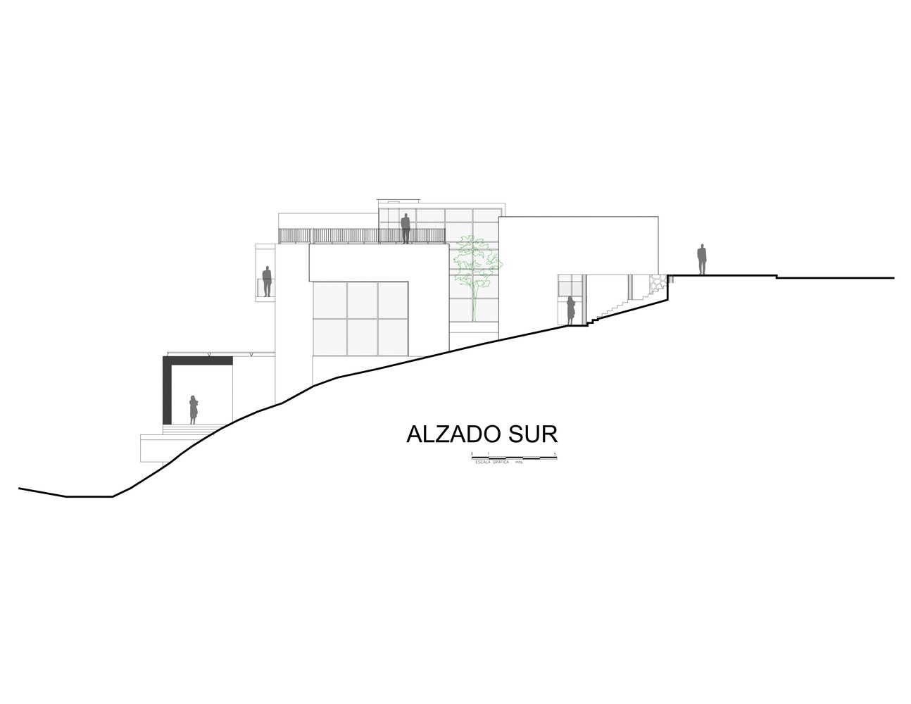 墨西哥森林中的自然之家-60