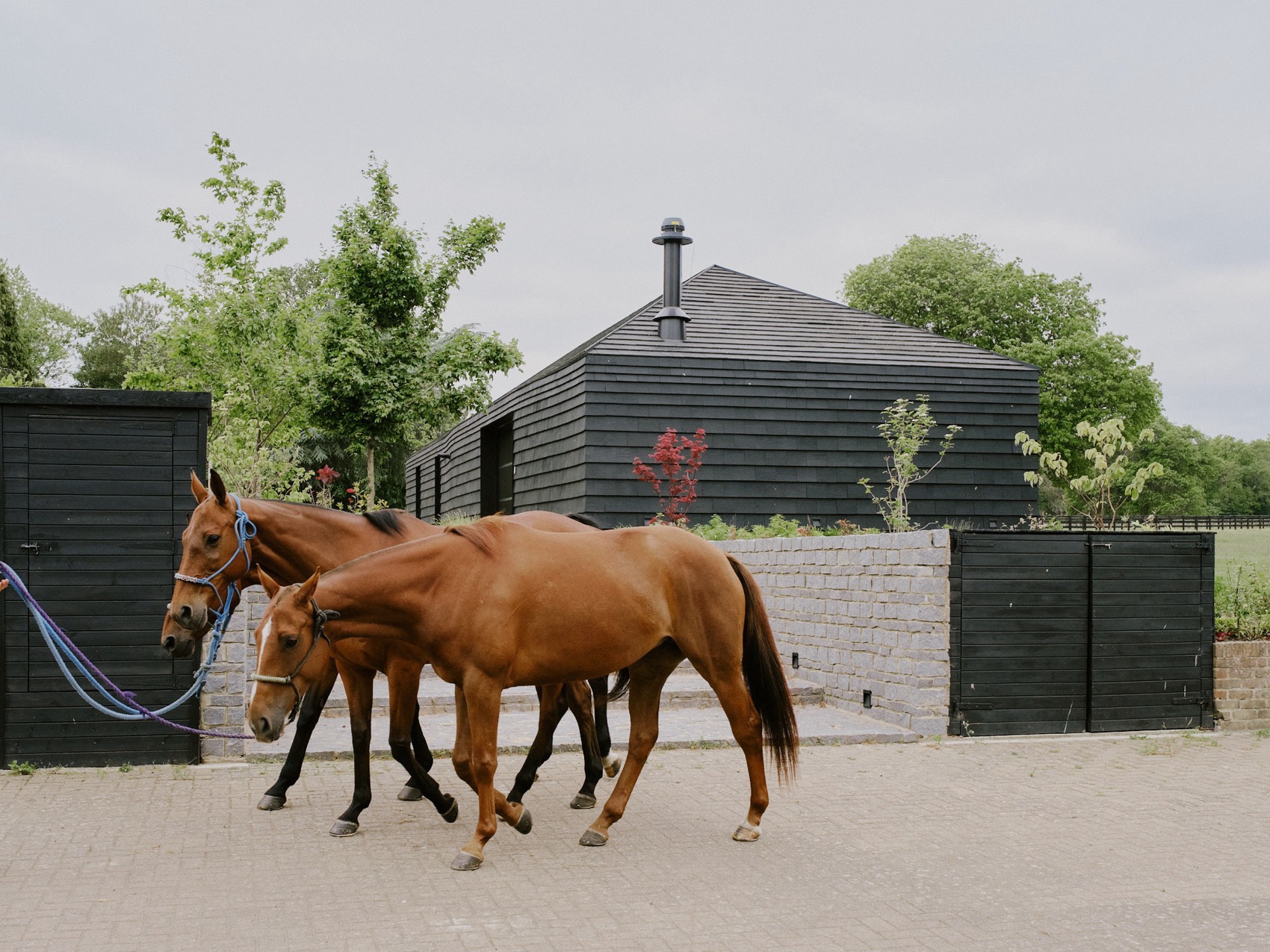 ARC马场丨英国丨Da Costa Mahindroo Architects-98