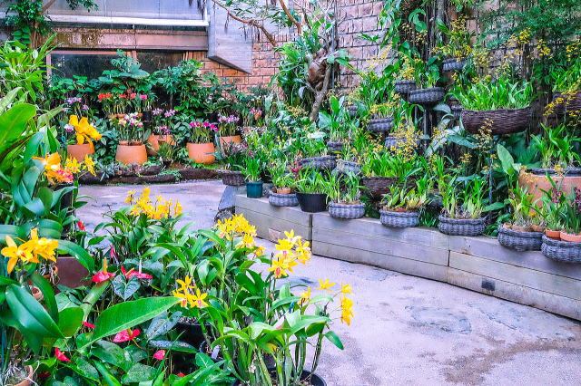 热带梦幻中心(海洋博公园内)丨日本冲绳-29