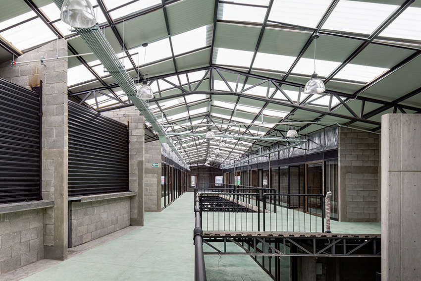 墨西哥城郊区的三角皇冠建筑-42