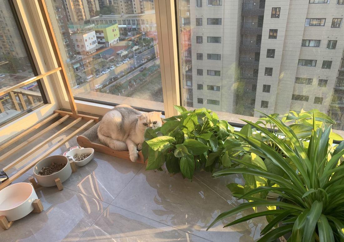 融合多种色彩的个性家居设计-76