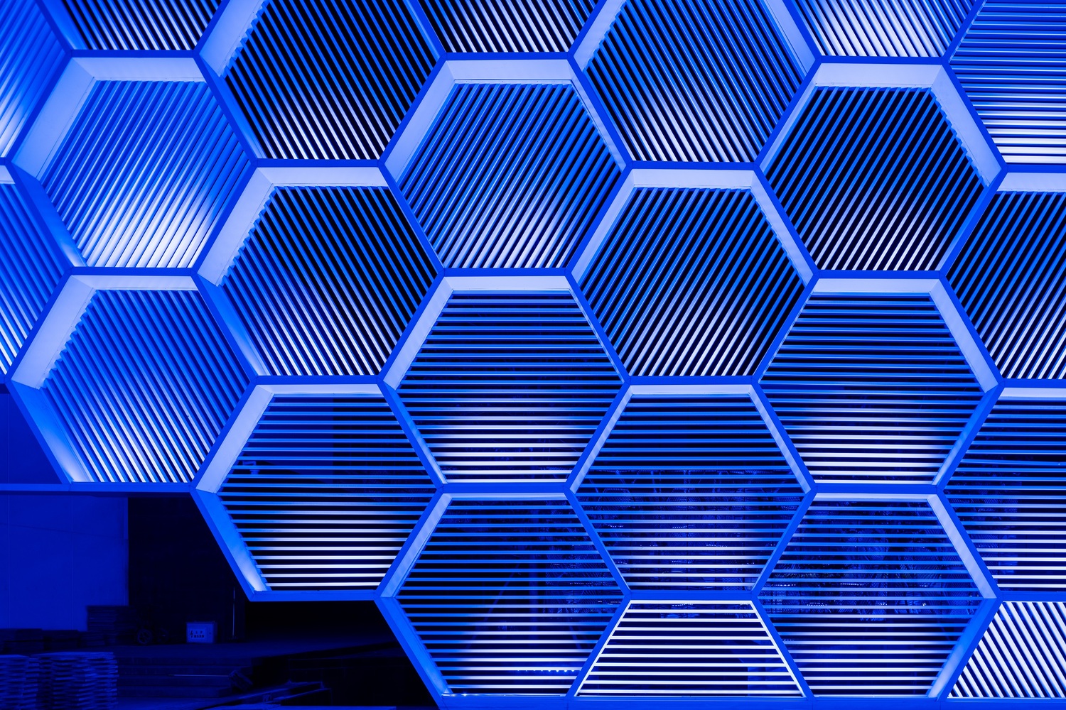 DEEJ Factory  5+design-74