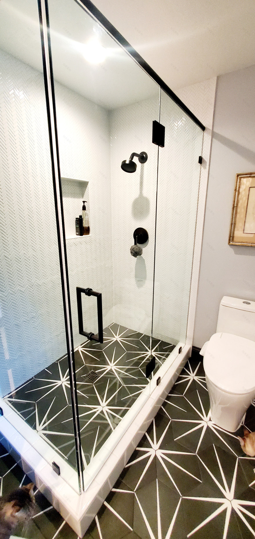 Point Loma豪华住宅改造丨美国加利福尼亚-3