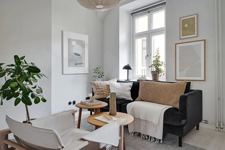 28m2 瑞典小户型,Scandinavian 风格的优雅优化-3