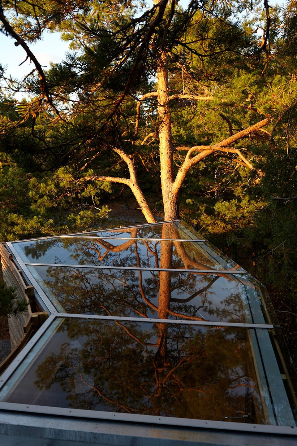 挪威小岛上的生态木质浴室-17