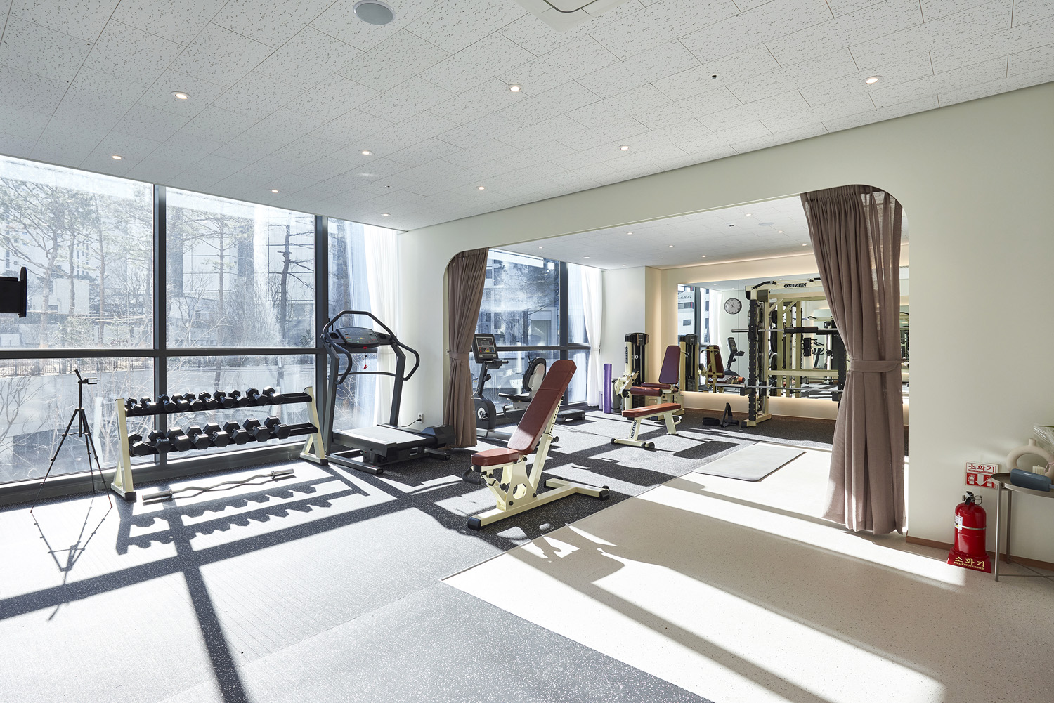 31 坪白色与木质的极简主义宠物店设计-8