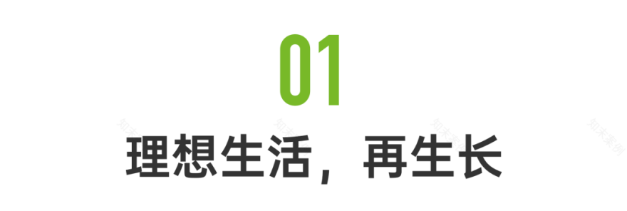 一条,三推光合院-36