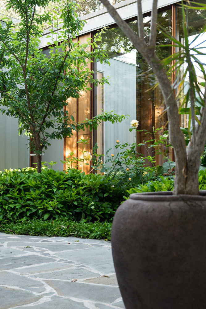 Argyle House 的有机庭院景观-21