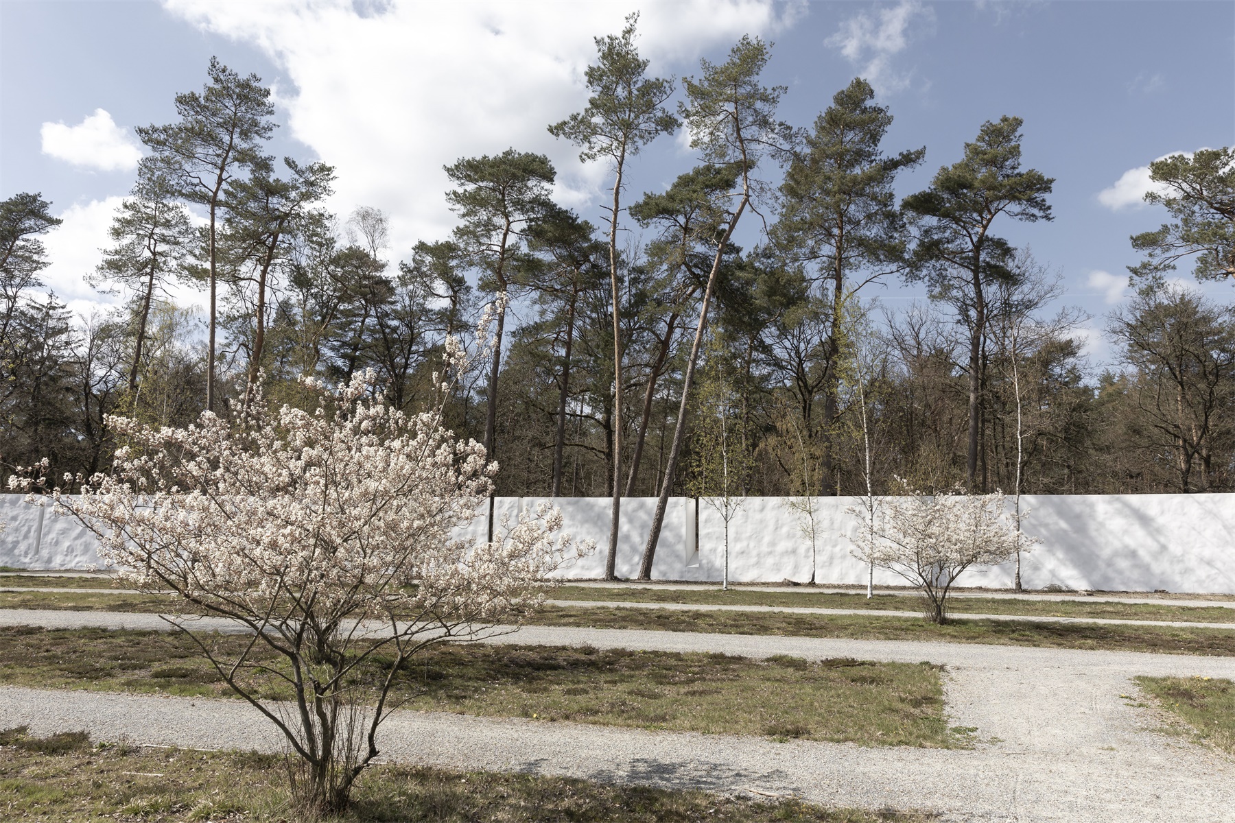 卢嫩纪念公墓扩建-28