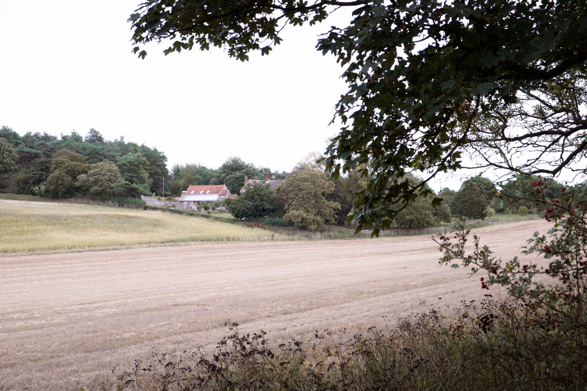 Old Rectory Farm 农舍改造丨英国丨Alexander Hills Architects-22