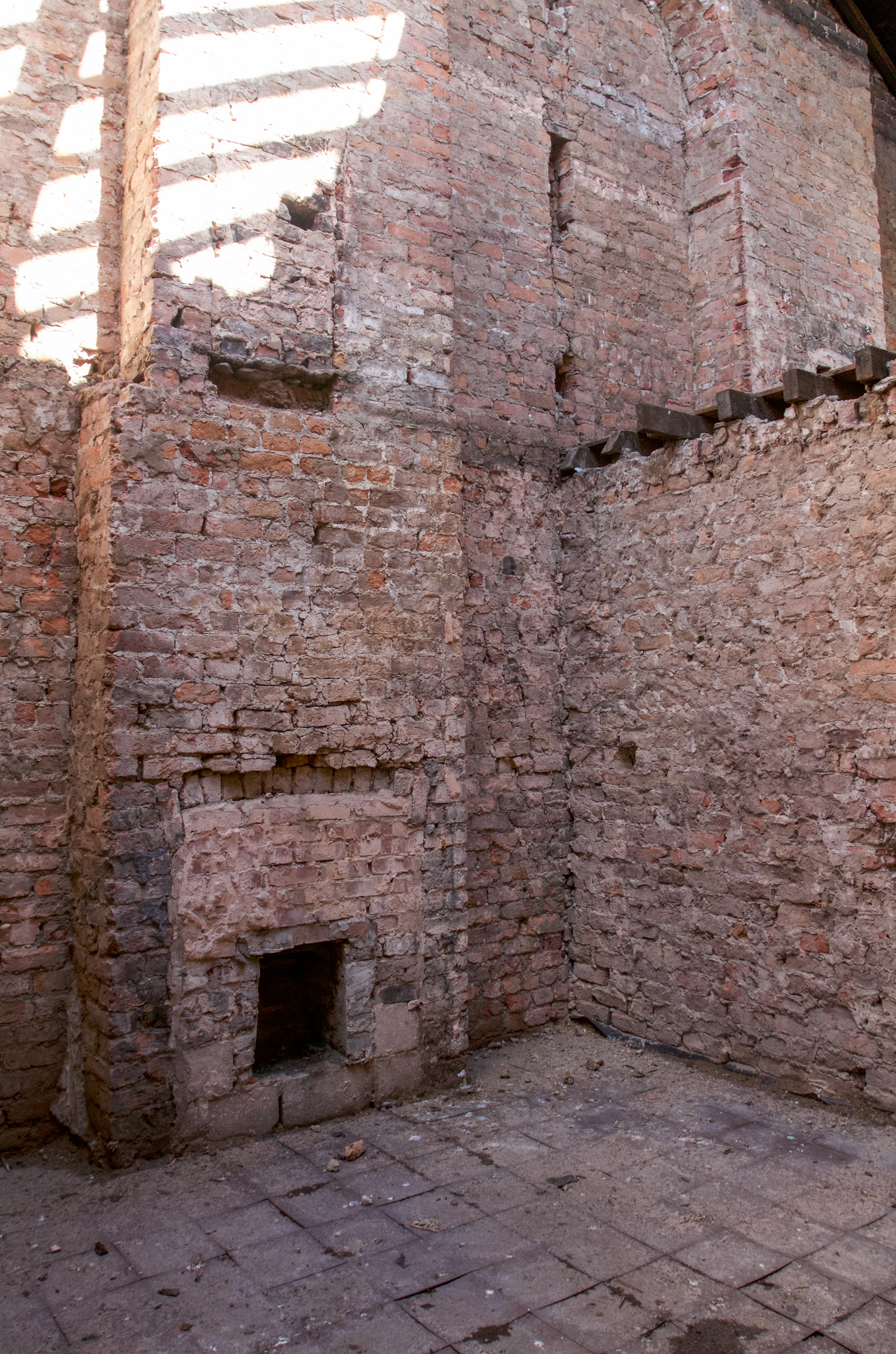 格兰比冬季花园丨英国利物浦丨Assemble-28