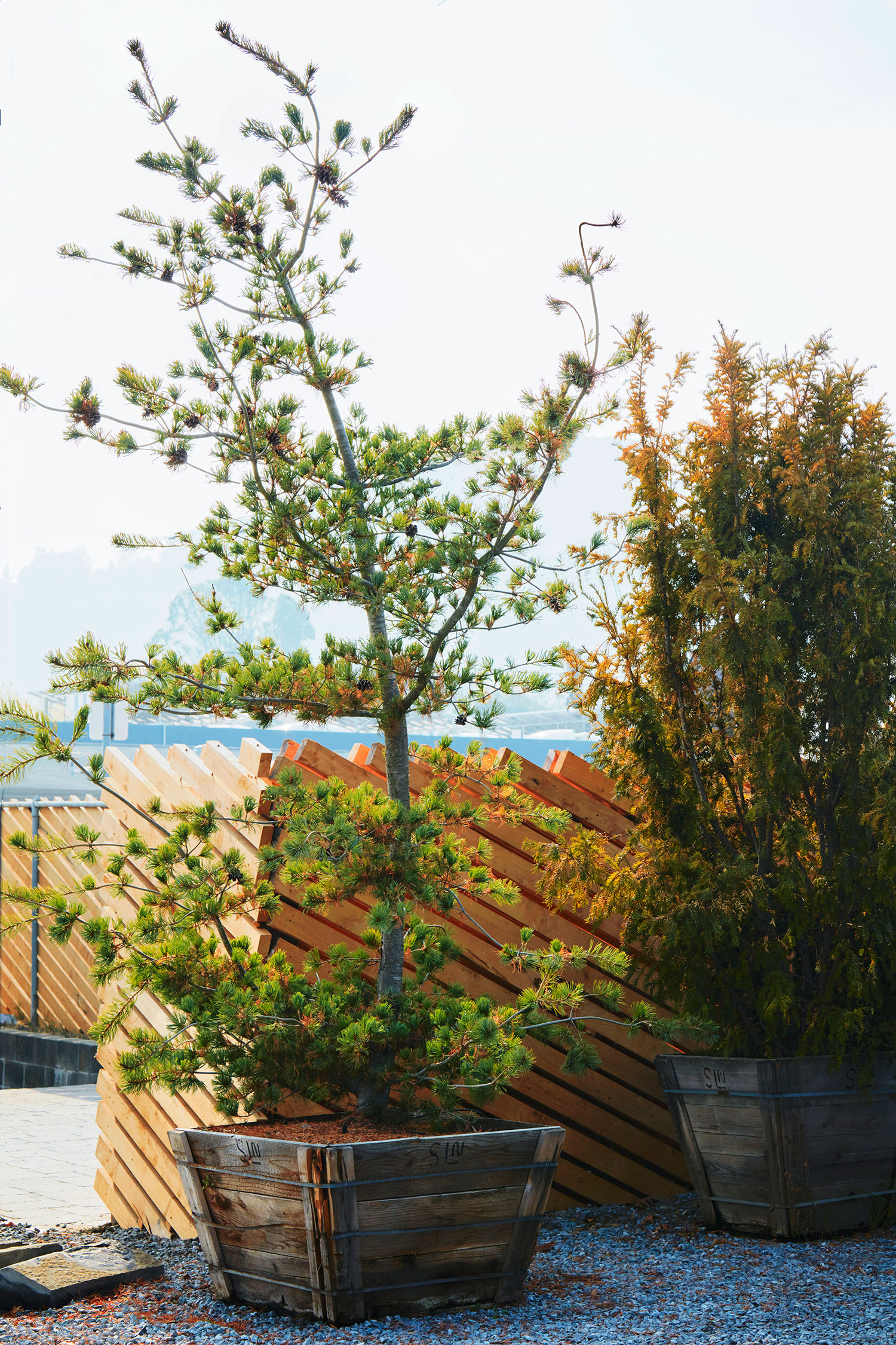 漂浮的禅意空间·加州滨水区二战船厂改造-11