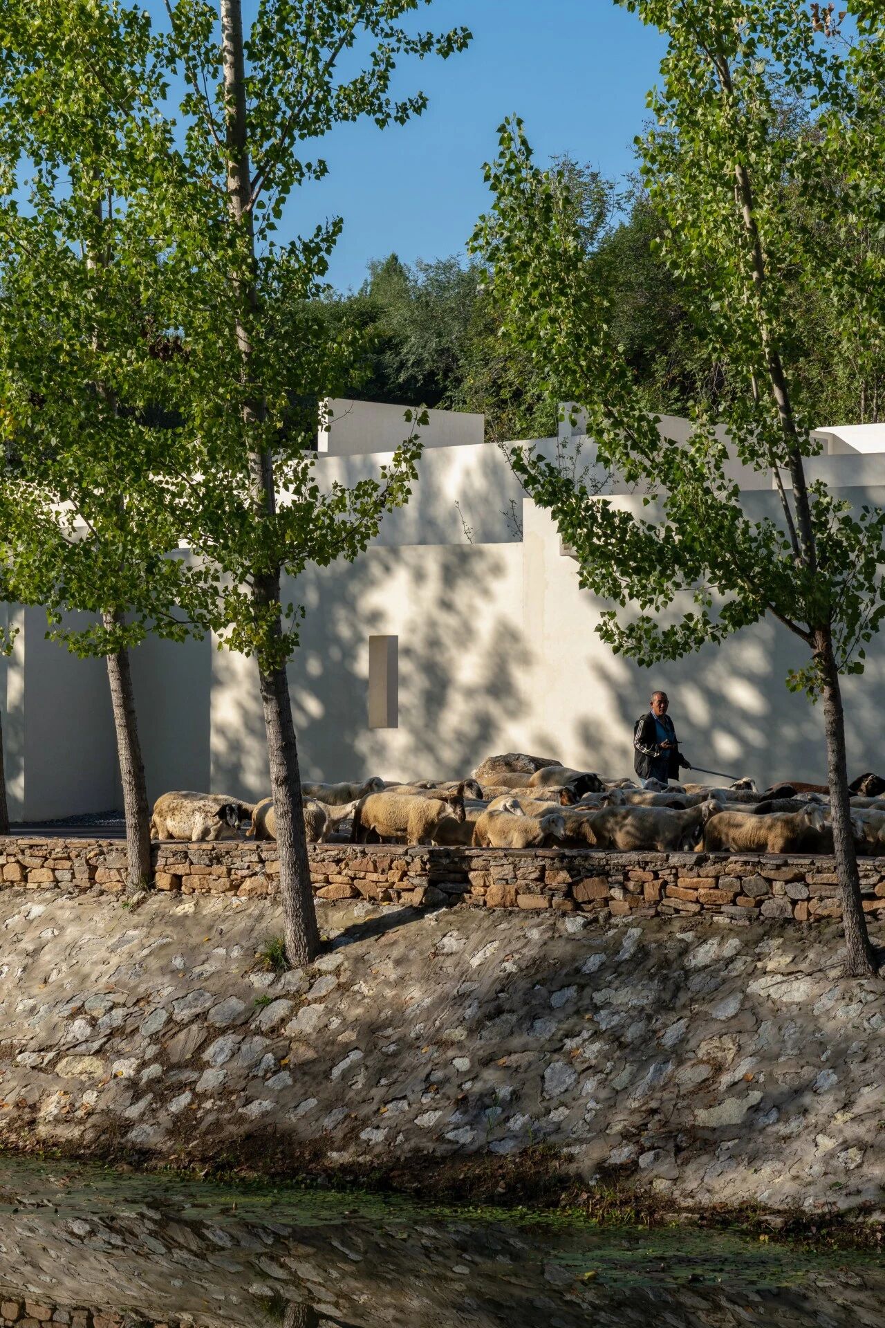 和隐度假酒店丨中国河北丨Domain Architects十域建筑-0