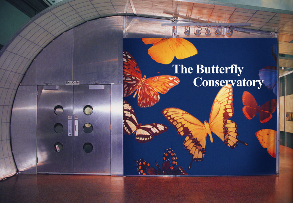 美国自然历史博物馆人类起源展厅丨美国纽约丨Perkins Eastman-5