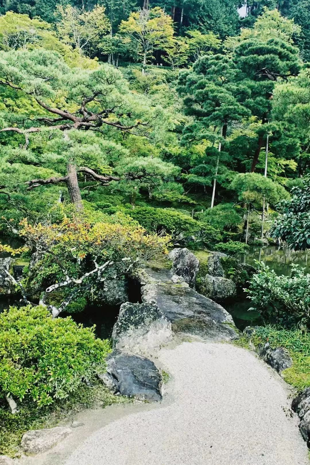 京都私人逛园子笔记-14