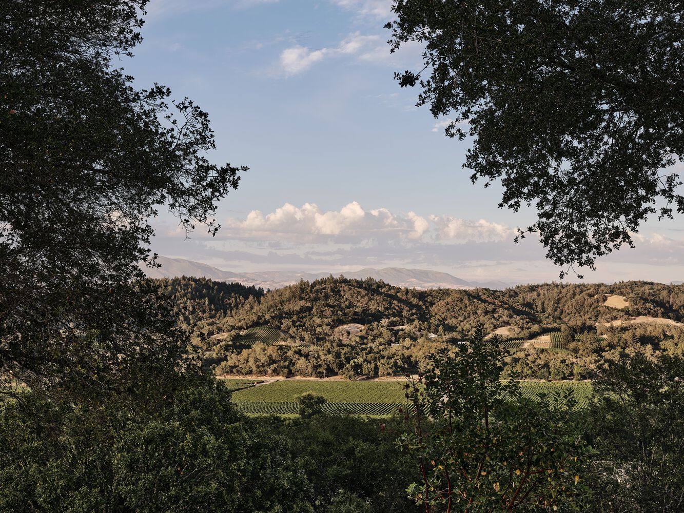 Madrone Ridge 别墅丨美国加利福尼亚丨不详-43