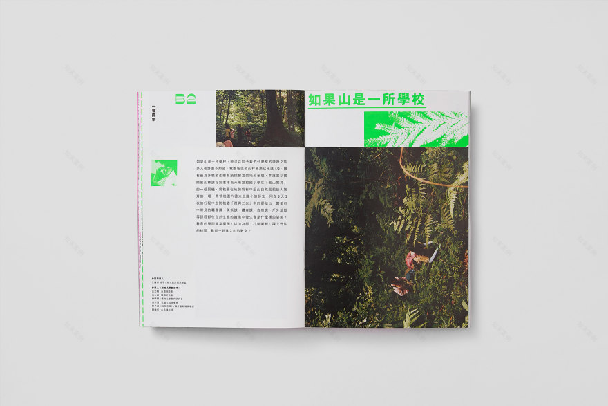 走桃花 RUNNING TAOYUAN丨格式设计展策-17