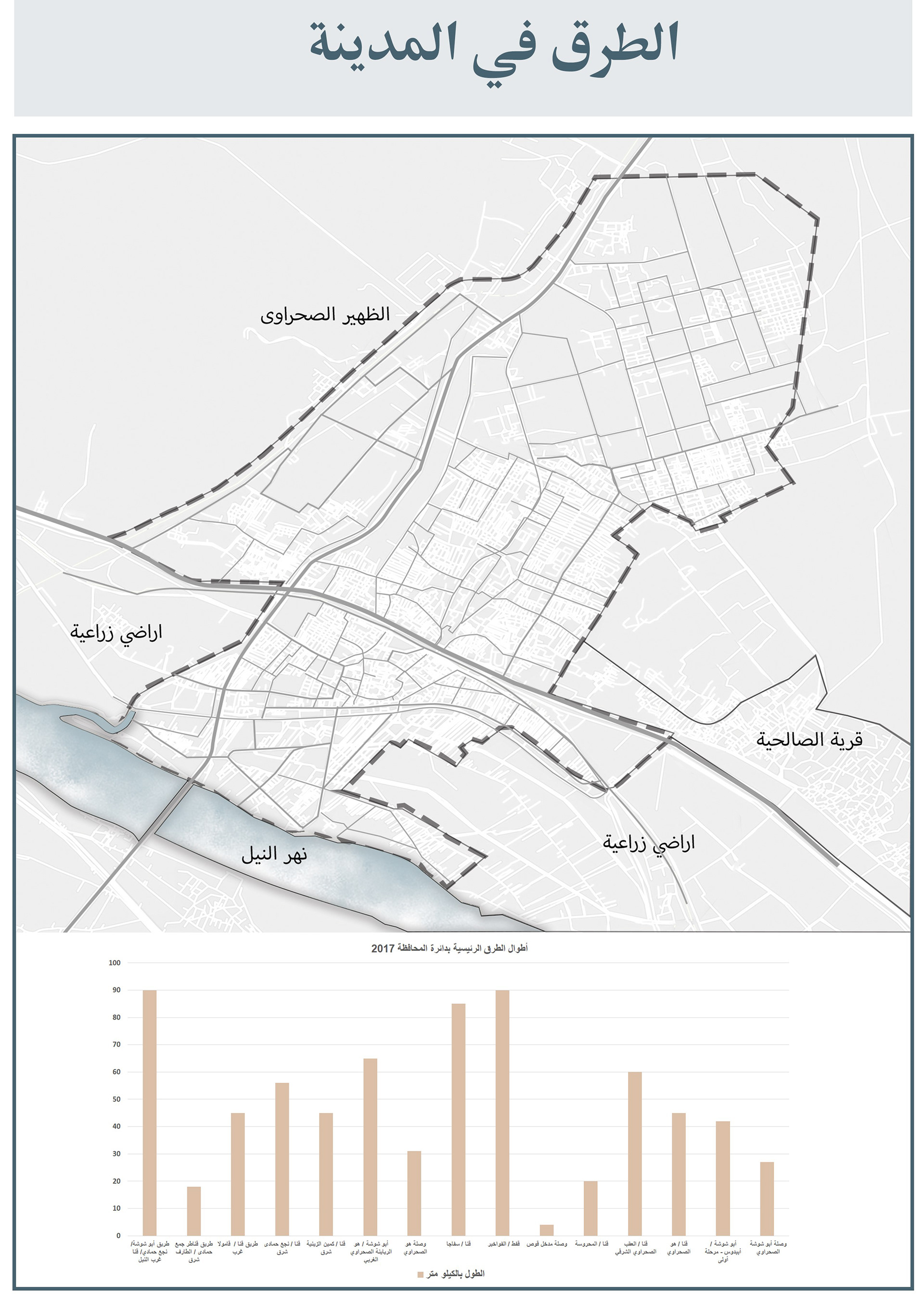 开罗市战略规划及现状研究项目丨埃及开罗丨亚历山大大学美术学院建筑系-23