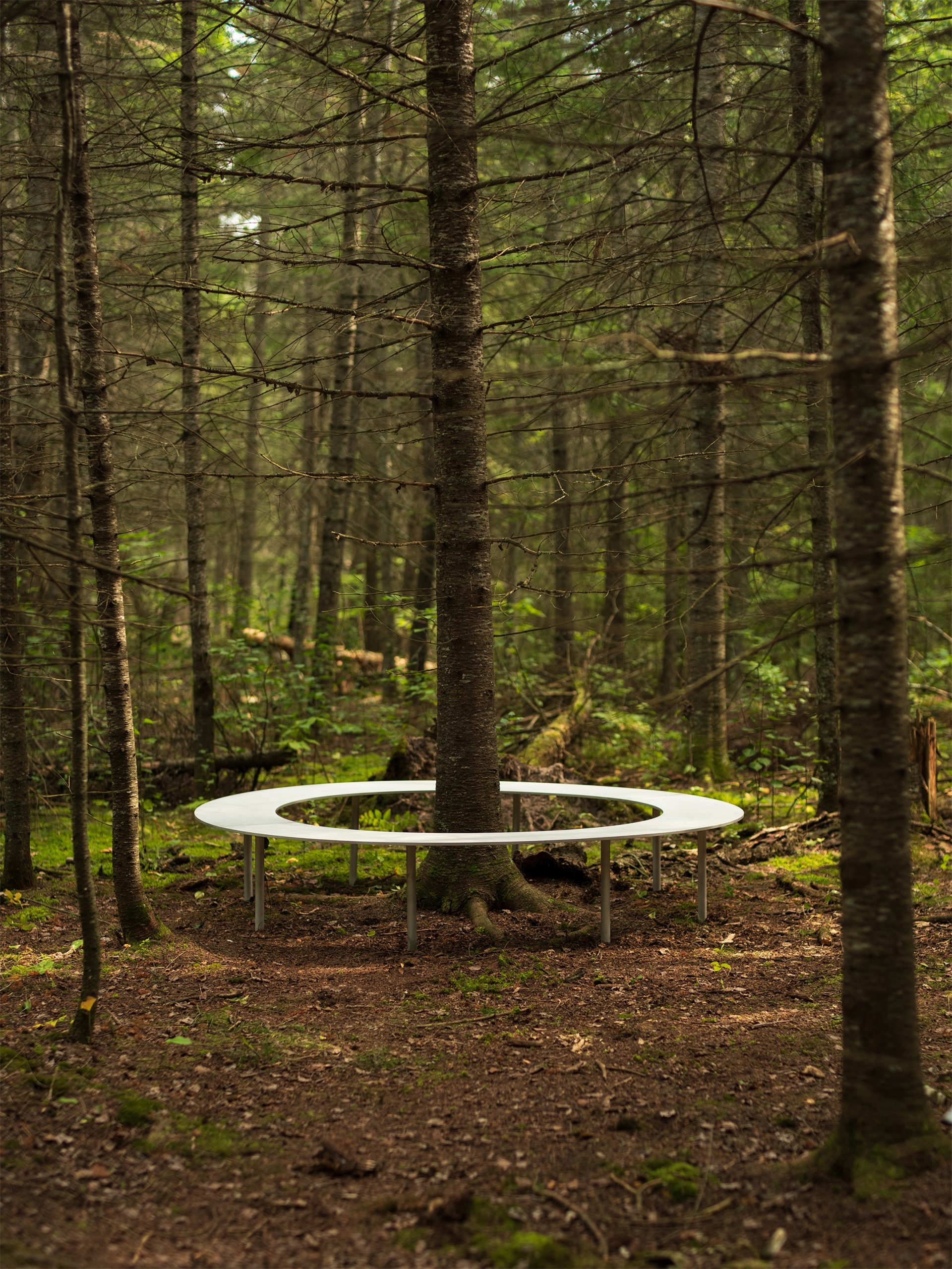 嵌套循环丨加拿大维多利亚丨Thom Fougere-15