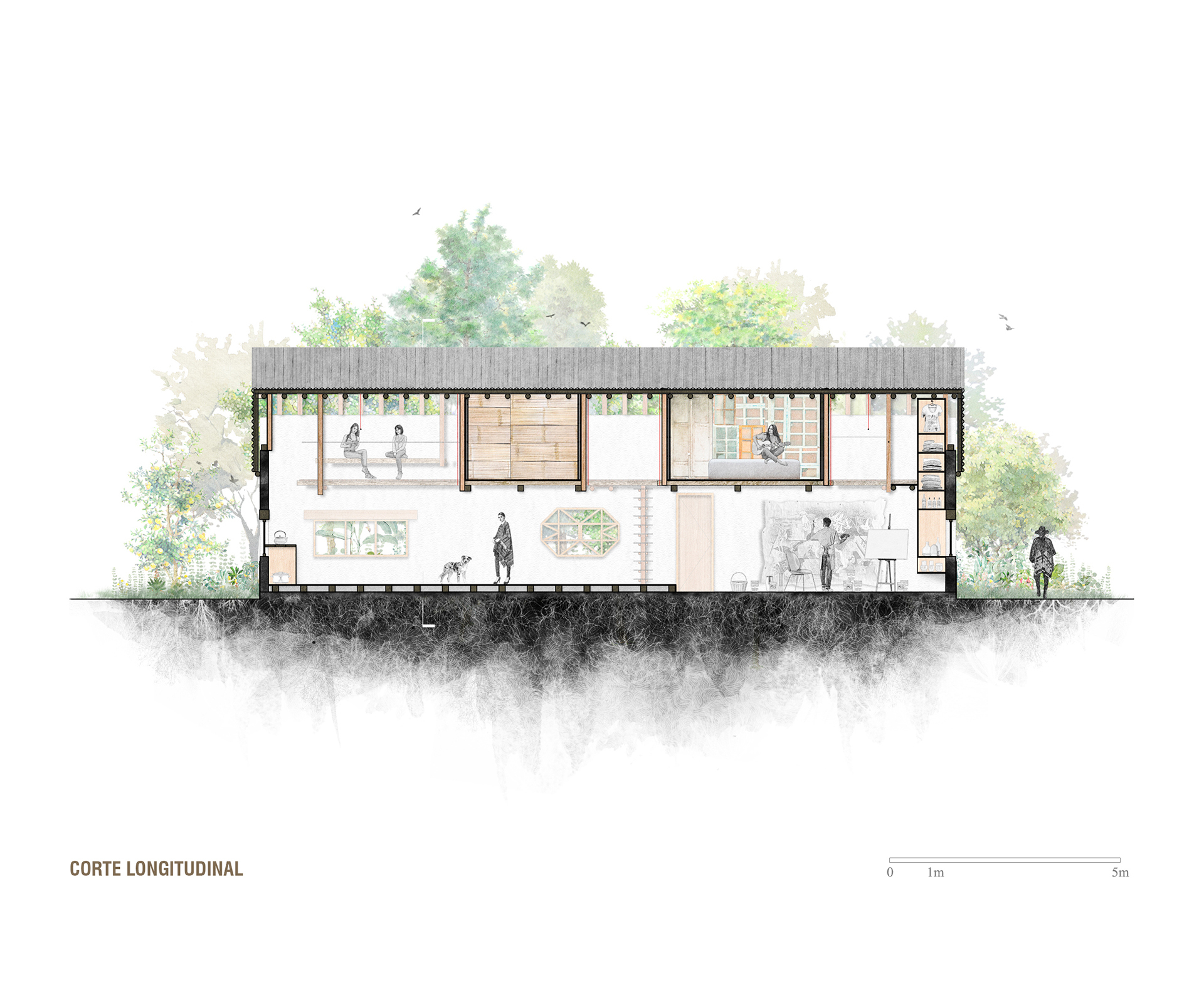 乔兰雀巢屋丨厄瓜多尔丨Daniel Moreno Flores 等-16