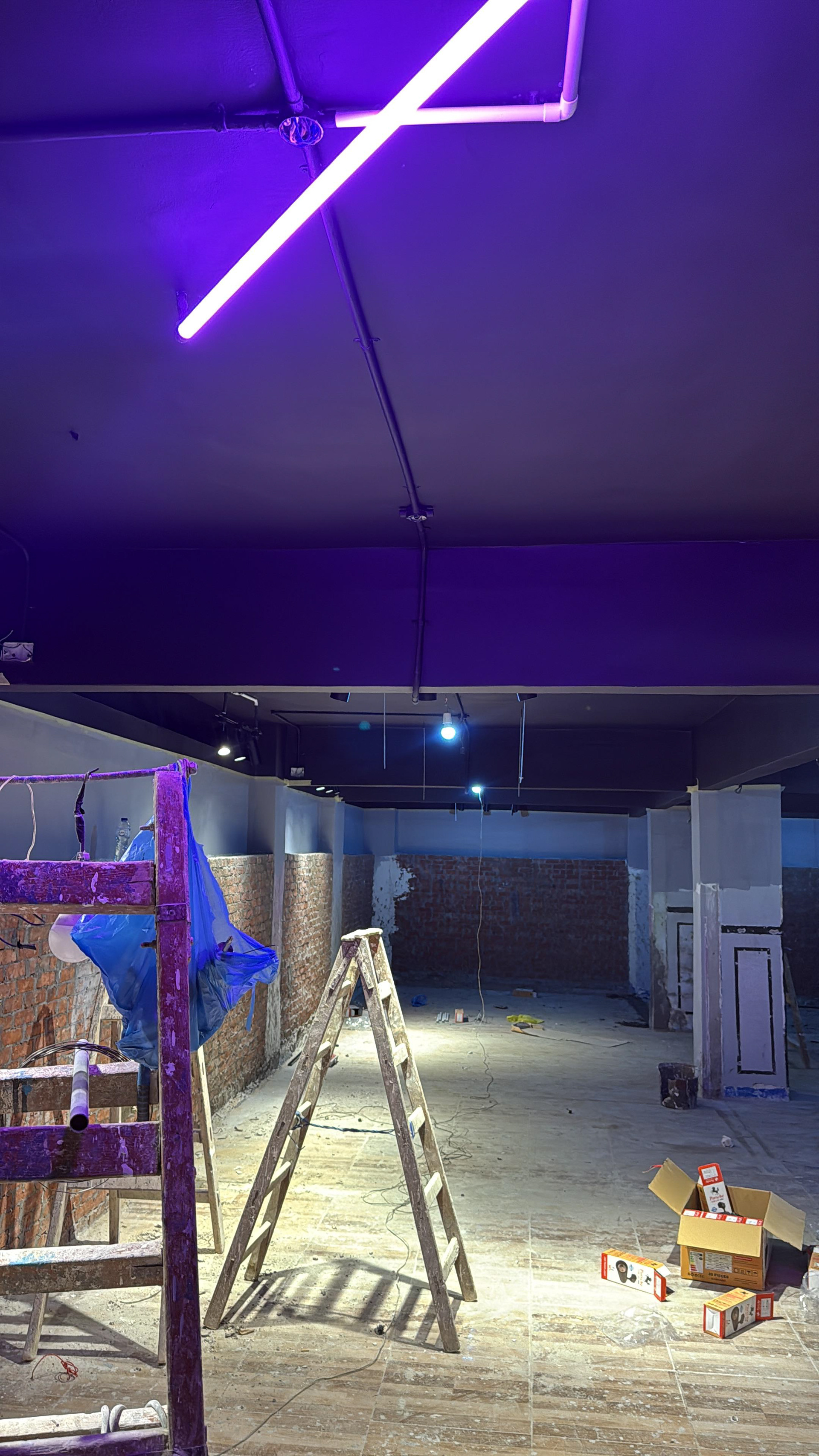 MMA Lupus Academy | Interior Design-23