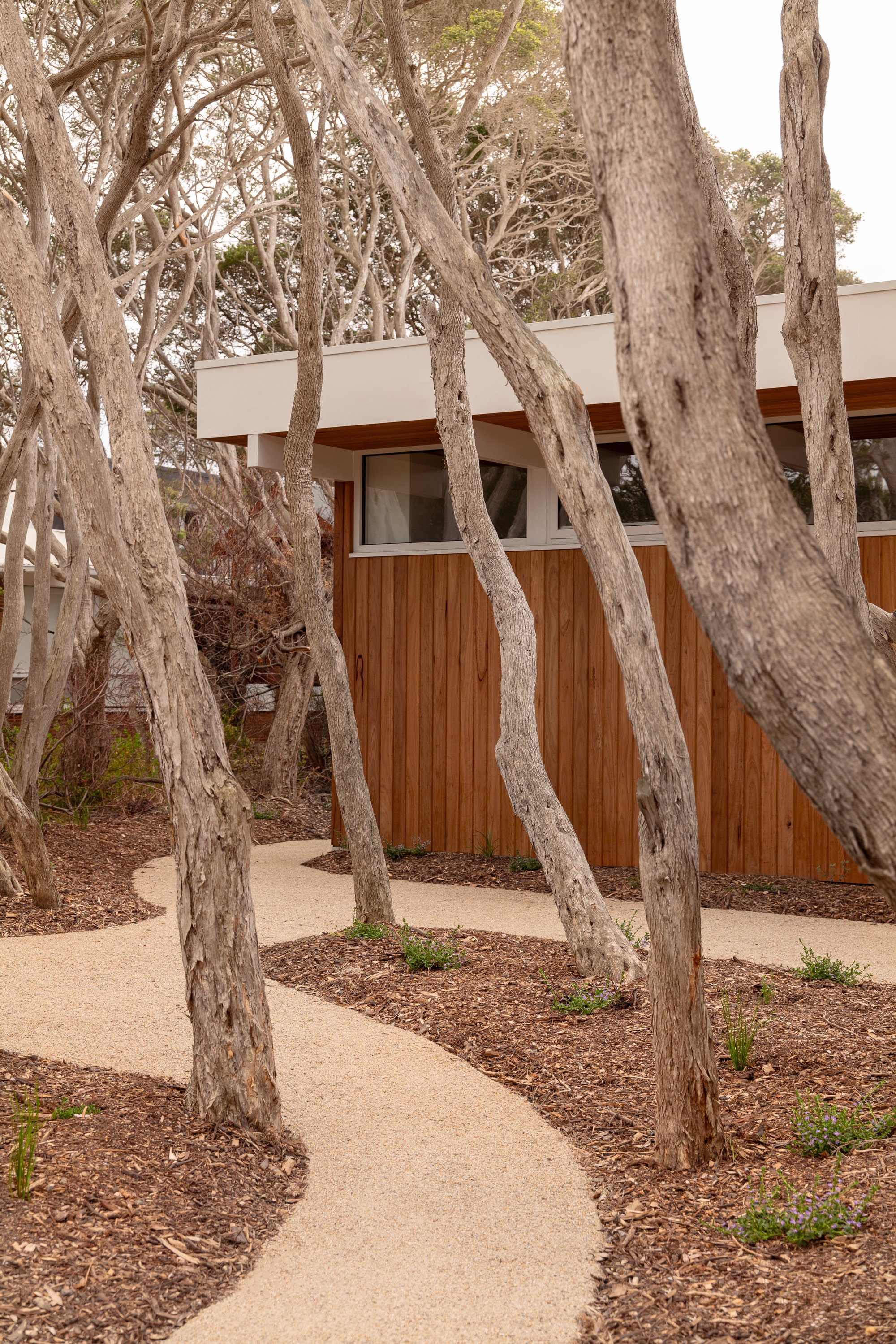 丨澳大利亚丨MGAO-38