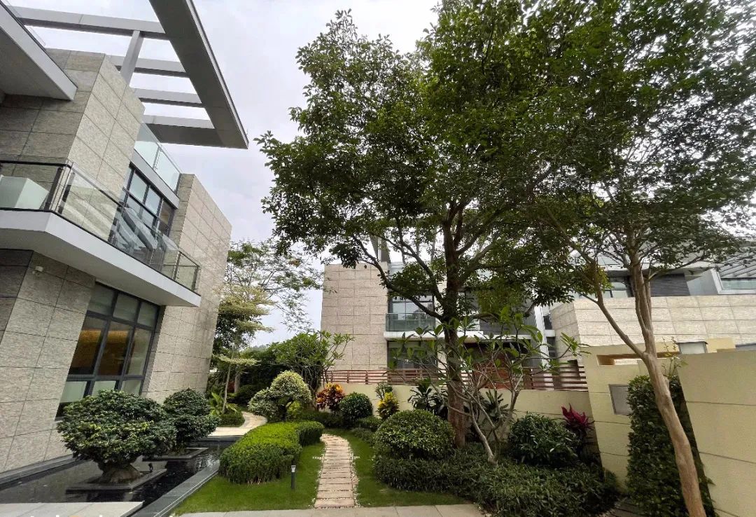 《狂飙》高启强豪宅设计揭秘丨设计师的脑细胞-82