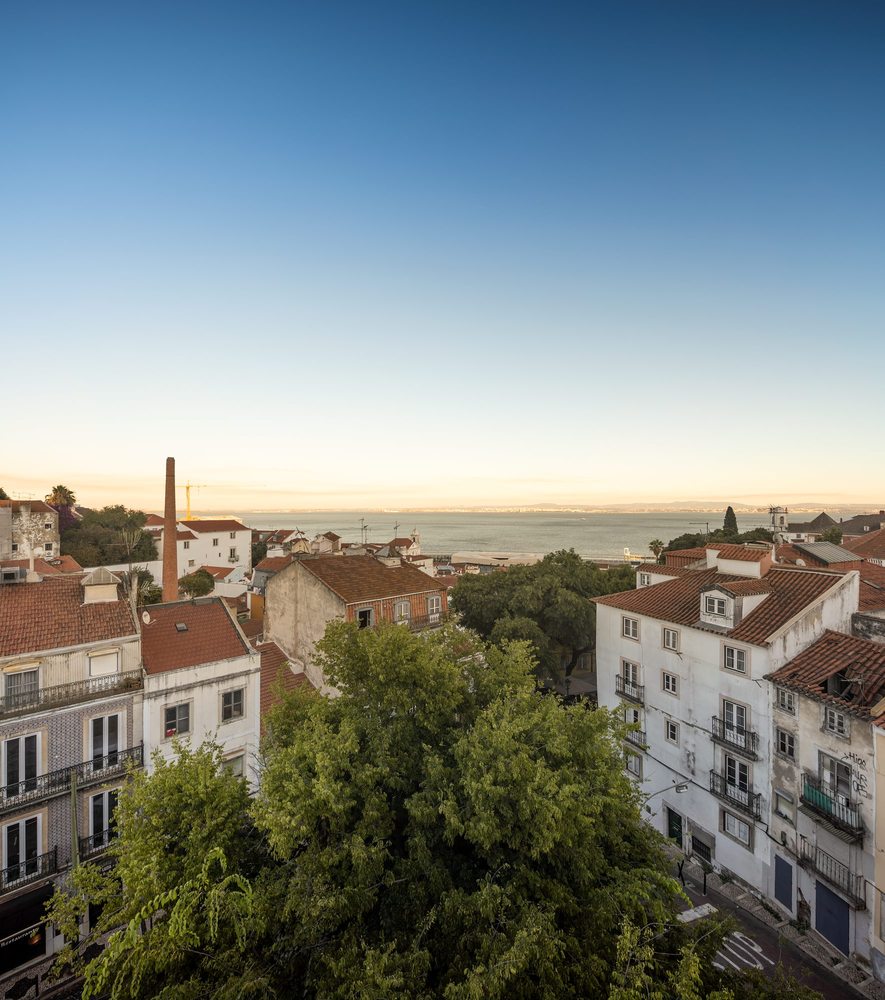 阿尔法玛区的城市绿洲-15