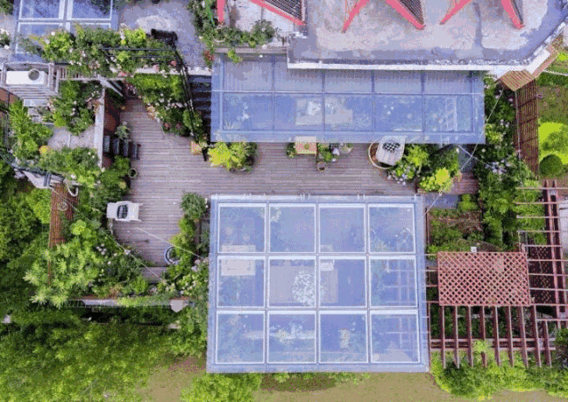 她在楼顶悄悄建了一座梦想花园,美翻了!这才是把日子过成诗的样子-53