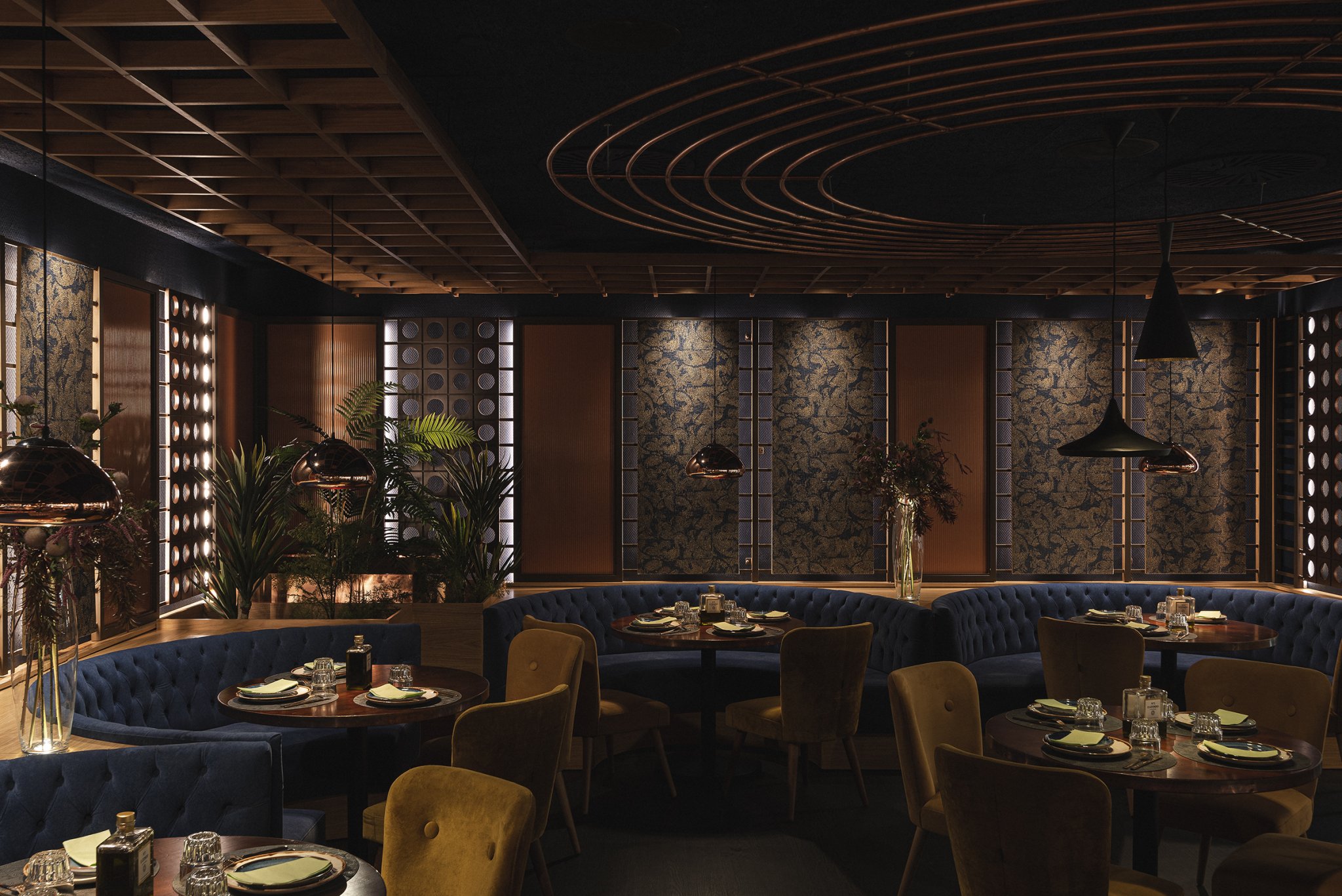 帕洛科塔多·马贝拉-2