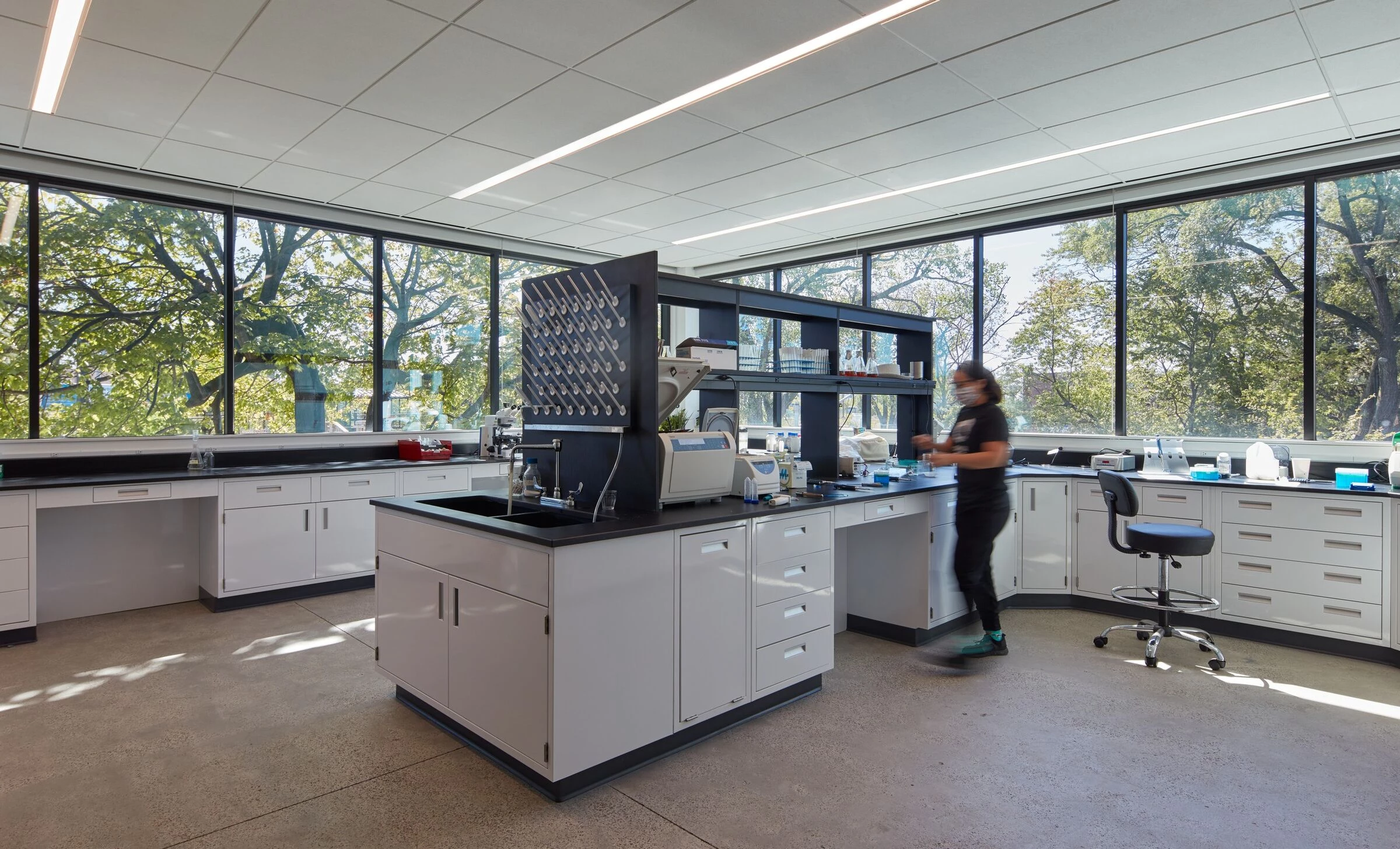 欧米茄酵母丨美国芝加哥丨Valerio Dewalt Train-18