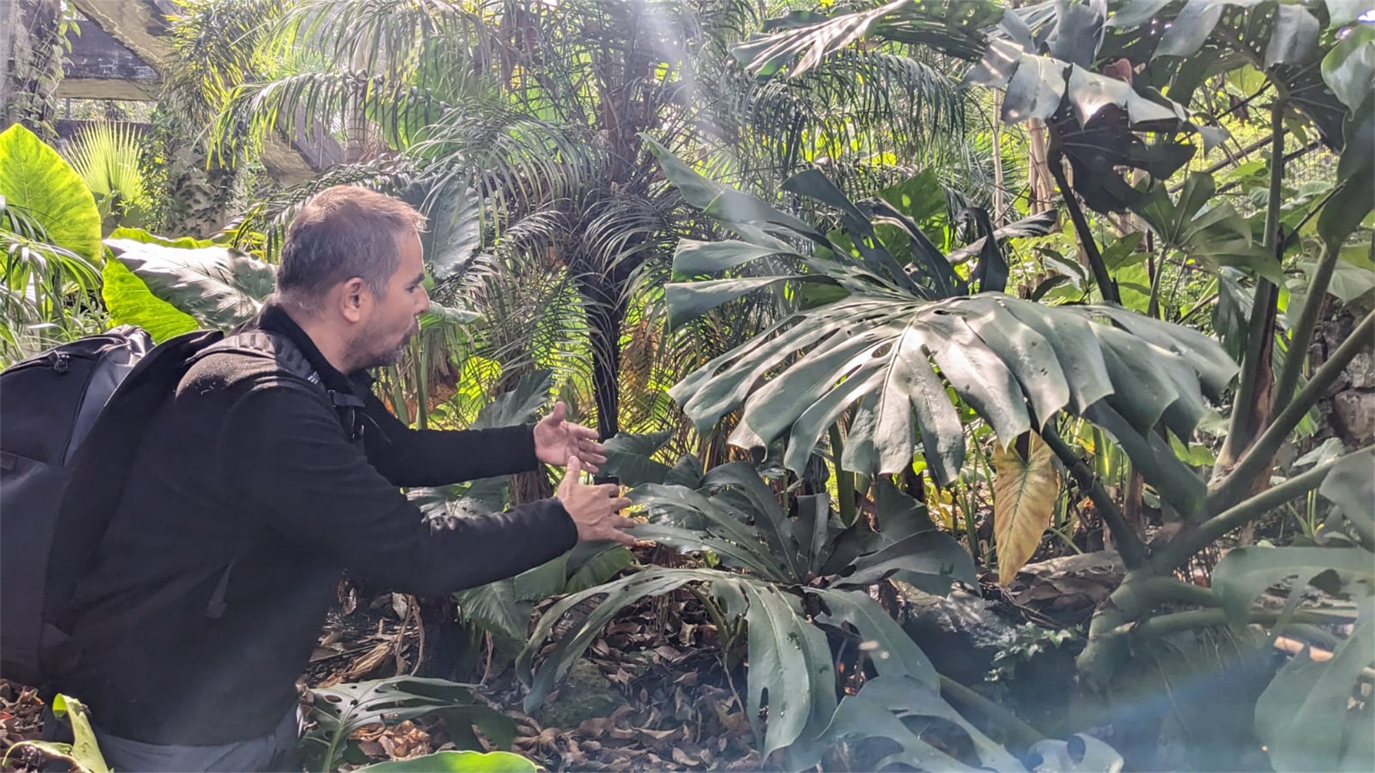 自然的生长花园PRADO PARK / Edgar Mazo-69