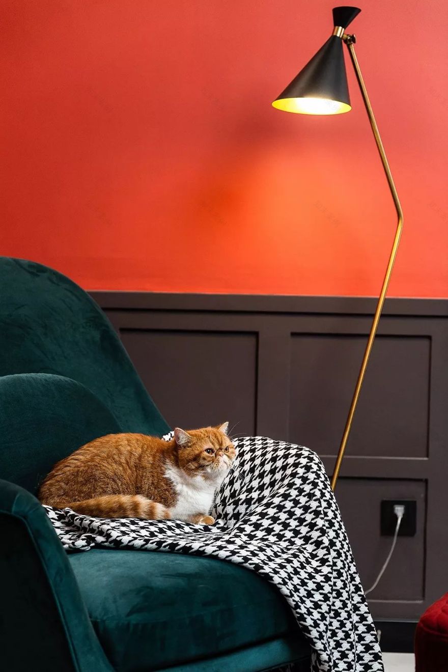 精致生活空间设计 | 一人独居的梦想家园-49