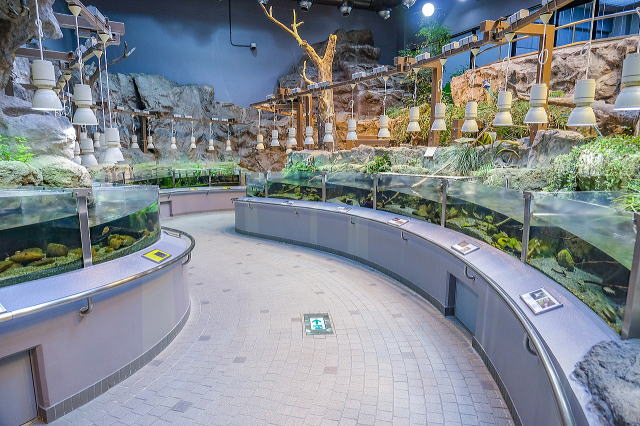 名古屋市东山动植物园之植物园丨日本爱知-82