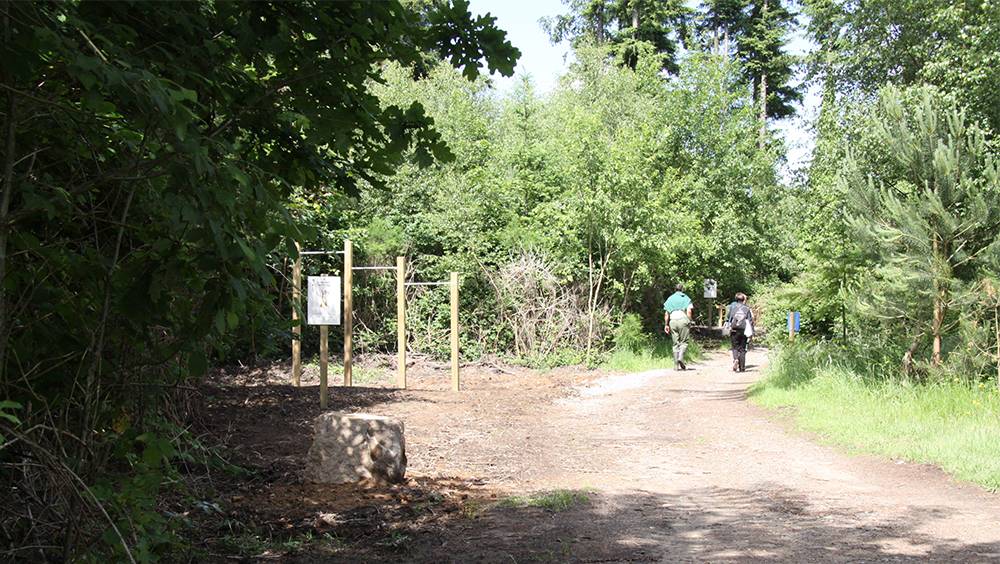 Le Mont de Cerisy - Cerisy-Belle-Etoile - Orne (61) - Normandie-6