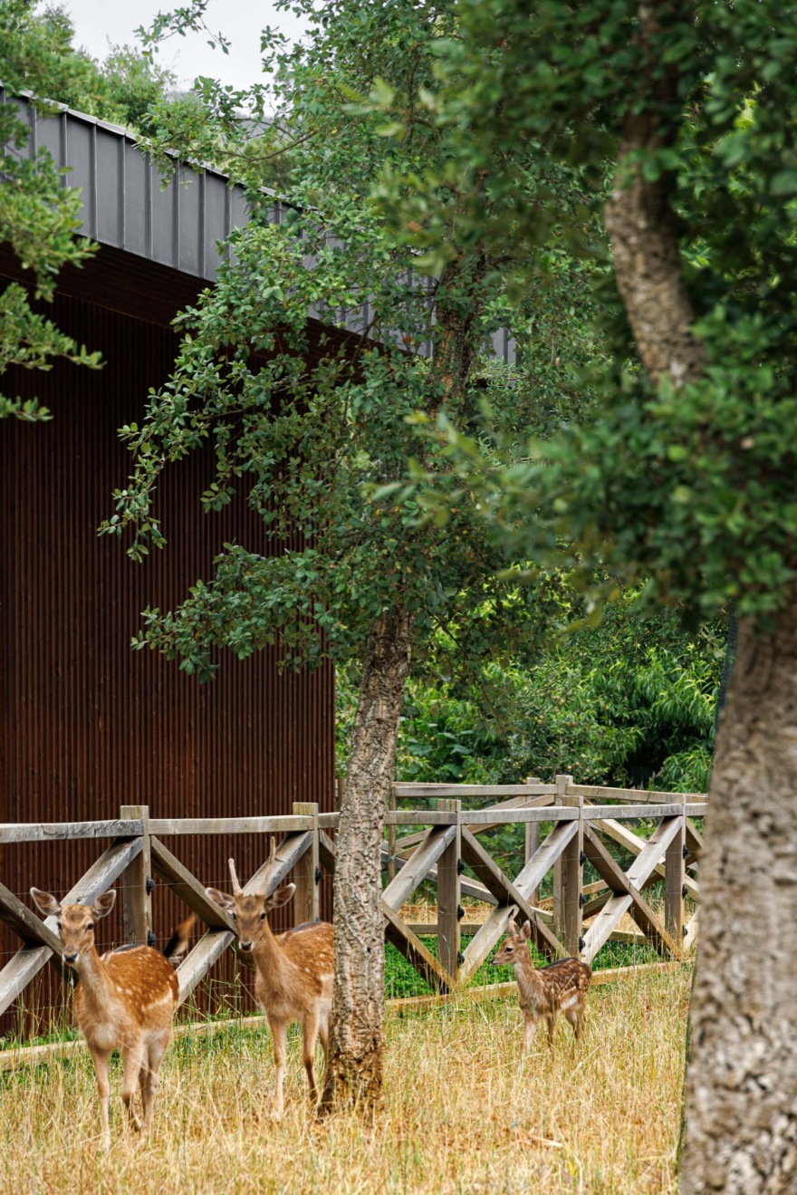 CC住宅 – Quinta dos Carvalhos丨葡萄牙丨Inception Architects Studio-177