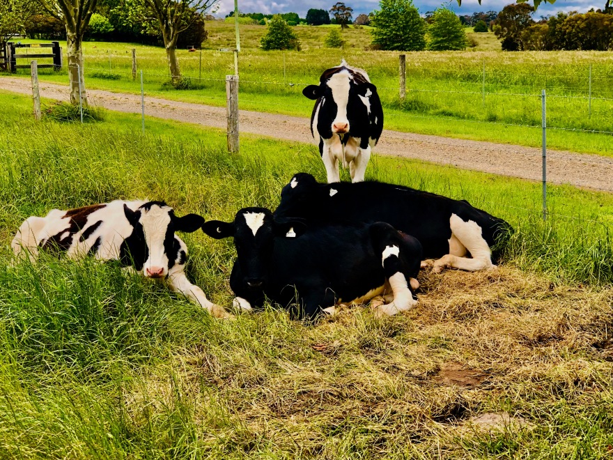 Life Adventure Photography系列摄影项目-12